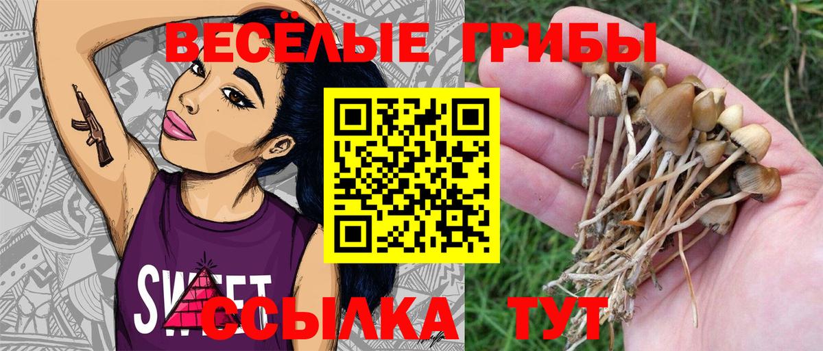 Галлюциногенные грибы MAGIC MUSHROOMS Краснознаменск