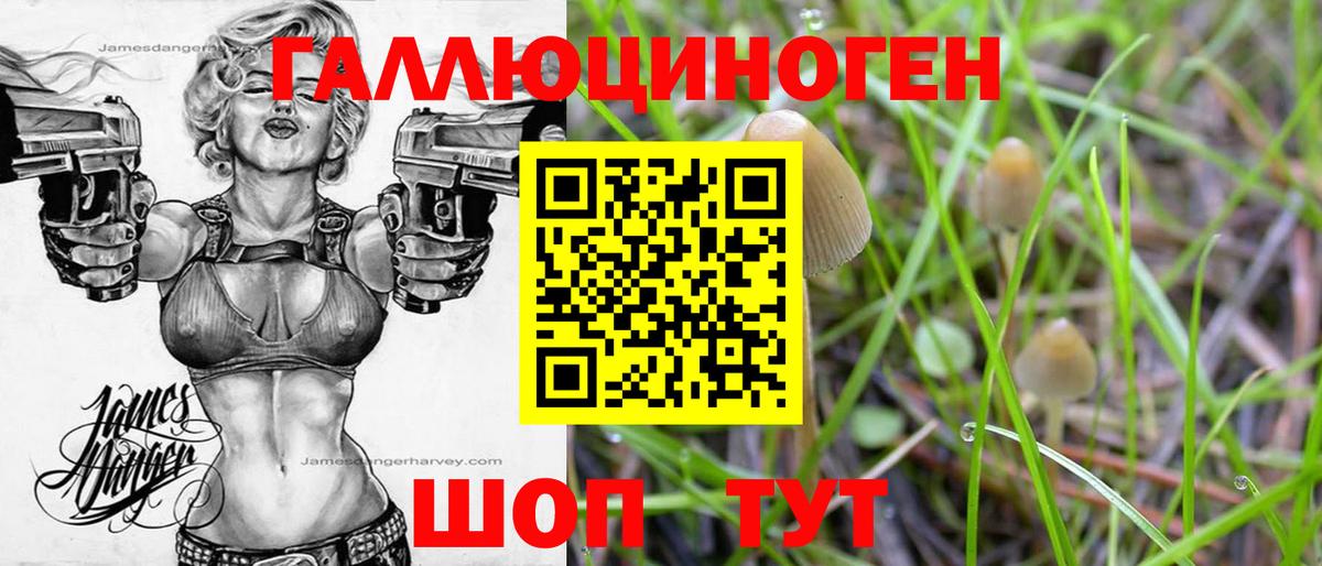 Краснознаменск  Псилоцибиновые грибы Psilocybe  Вход с VPN 